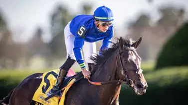 El potrazo del Godolphin trabajó fenómeno para el Blue Grass Stakes de $1 millón El potrazo del Godolphin trabajó fenómeno para el Blue Grass Stakes de $1 millón