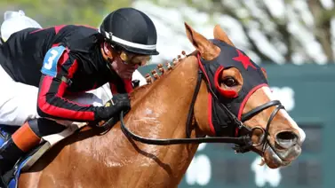 Flavien Prat se convierte en el nuevo líder en pruebas stakes de la temporada Flavien Prat se convierte en el nuevo líder en pruebas stakes de la temporada