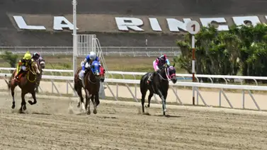 Favoritos de la cátedra para el 5y6 Nacional de la reunión N°12 en el hipódromo La Rinconada Favoritos de la cátedra para el 5y6 Nacional de la reunión N°12 en el hipódromo La Rinconada