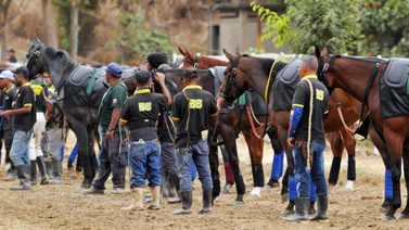 Van cuatro retirados este viernes en La Rinconada para el domingo