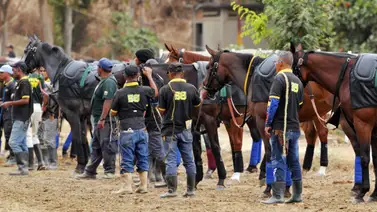 Van cuatro retirados este viernes en La Rinconada para el domingo Van cuatro retirados este viernes en La Rinconada para el domingo