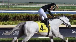 Edgar “Tendón” Pérez es el primer venezolano en ganar en el Royal Palm Meet