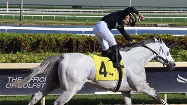 Edgar “Tendón” Pérez es el primer venezolano en ganar en el Royal Palm Meet