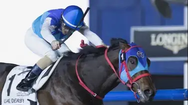 Otro japonés se clasifica para el Kentucky Derby G1 Otro japonés se clasifica para el Kentucky Derby G1