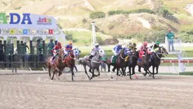 Retirado uno de los caballos importados en la reunión 12 de carreras para el 5y6 nacional en La Rinconada Retirado uno de los caballos importados en la reunión 12 de carreras para el 5y6 nacional en La Rinconada