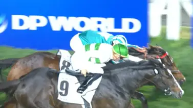WOW el mejor caballo del mundo cae abatido por menos de nariz en la Dubái Turf G1 WOW el mejor caballo del mundo cae abatido por menos de nariz en la Dubái Turf G1