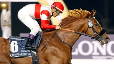 El ganador del Derby japonés Danon Decile ahora gana en la fiesta de la Dubai World Cup El ganador del Derby japonés Danon Decile ahora gana en la fiesta de la Dubai World Cup