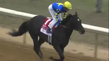 Hijo de ganador del Kentucky Derby se alza con el centenario del Wood Memorial en Nueva York Hijo de ganador del Kentucky Derby se alza con el centenario del Wood Memorial en Nueva York