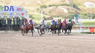 Atención gran favorito ha sido retirado para Reunión N°12 en La Rinconada 6-4-2025 Atención gran favorito ha sido retirado para Reunión N°12 en La Rinconada 6-4-2025