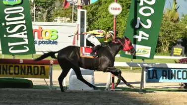 Si no sabes cuál es el ejemplar de mayor peso que ha corrido en La Rinconada nosotros te lo decimos Si no sabes cuál es el ejemplar de mayor peso que ha corrido en La Rinconada nosotros te lo decimos