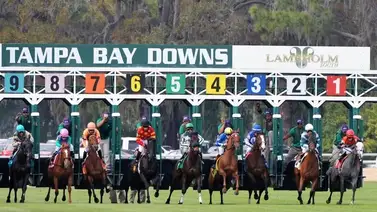 Criollos ganan seis de nueve carreras en Tampa Bay Criollos ganan seis de nueve carreras en Tampa Bay