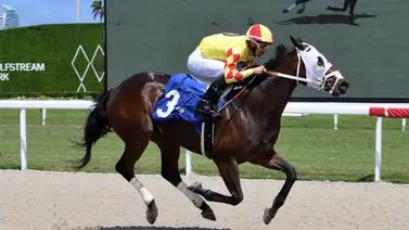 Víctor Barboza Jr está a una victoria de las 600 de por vida en Estados Unidos Víctor Barboza Jr está a una victoria de las 600 de por vida en Estados Unidos