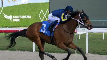 Aprendiz venezolano llega a las 100 victorias en Estados Unidos Aprendiz venezolano llega a las 100 victorias en Estados Unidos