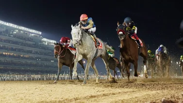 Conozca cuánto se ganó Antonio Sano aproximadamente con Il Miracolo en la Dubai World Cup