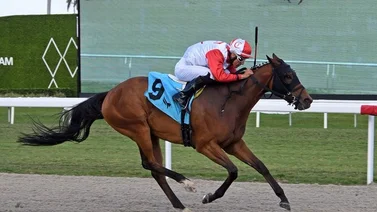 Leonel Reyes Ramos arrasa el fin de semana en Gulfstream Park