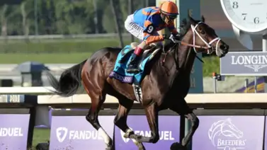 Jinete zuliano arrasó con seis victorias y paso a dominar este meeting Jinete zuliano arrasó con seis victorias y paso a dominar este meeting