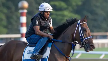 El Caballo del Año 2024 correrá este Stakes de $1.250.000 el domingo en Oaklawn Park El Caballo del Año 2024 correrá este Stakes de $1.250.000 el domingo en Oaklawn Park