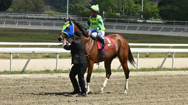 Marco Antonio a mantener el ritmo para la Triple corona en el Clásico Juan Vicente Tovar GIII Marco Antonio a mantener el ritmo para la Triple corona en el Clásico Juan Vicente Tovar GIII