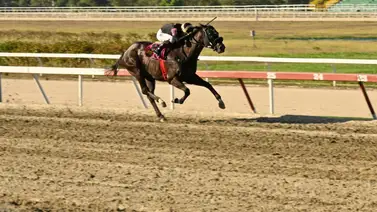 Juan Valdez ahora reta a Tuco Salamanca y Ping Pong en el Clásico Federico Carmona Perera GII Juan Valdez ahora reta a Tuco Salamanca y Ping Pong en el Clásico Federico Carmona Perera GII