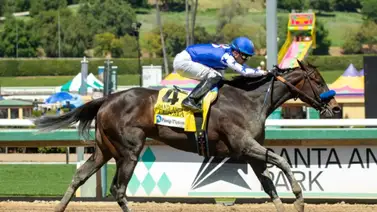 Tenma se queda con los 75 puntos tras una victoria en el Santa Anita Oaks G2 de $200,000. Tenma se queda con los 75 puntos tras una victoria en el Santa Anita Oaks G2 de $200,000.