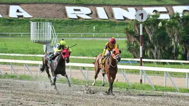 ¡La Espera Terminó! Nieta de Champlain regresa tras 175 días y aspira a repetir victoria ¡La Espera Terminó! Nieta de Champlain regresa tras 175 días y aspira a repetir victoria