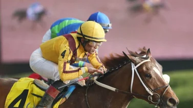 Jockey inmortal dominicano se acerca a las 3,700 victorias en Estados Unidos