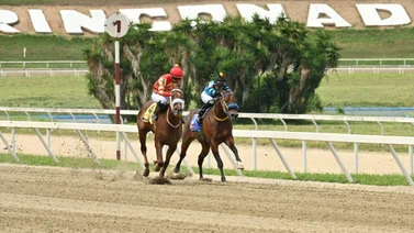 Atención con este hijo de King Seraf que desde que debutó ha competido solo en pruebas selectivas