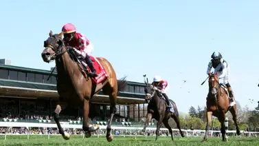 Hija de Medaglia D’Oro se mantiene invicta y gana este Stakes del martes Hija de Medaglia D’Oro se mantiene invicta y gana este Stakes del martes