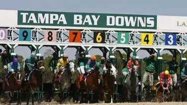 Últimos datos hípicos con el Best Best y los Picks para la jornada en Tampa Bay Downs 8-4-2025 Últimos datos hípicos con el Best Best y los Picks para la jornada en Tampa Bay Downs 8-4-2025