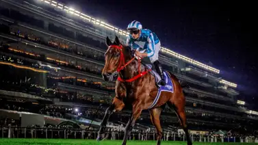 El mejor caballo del planeta cae derrotado y la tabla del ranking sufre modificación entérate de los detalles El mejor caballo del planeta cae derrotado y la tabla del ranking sufre modificación entérate de los detalles