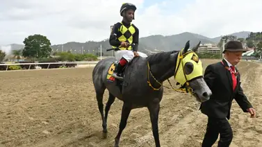 Yonkleiver Díaz dedica un regalo de buen dividendo a la afición hípica en la R13 (+Video) Yonkleiver Díaz dedica un regalo de buen dividendo a la afición hípica en la R13 (+Video)