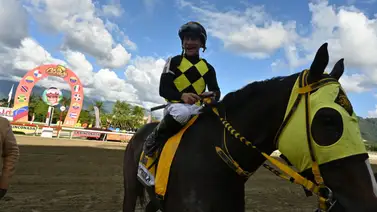 Estas son las primeras montas de Junior Alvarado luego de su caída hace tres semanas en Gulfstream Park Estas son las primeras montas de Junior Alvarado luego de su caída hace tres semanas en Gulfstream Park