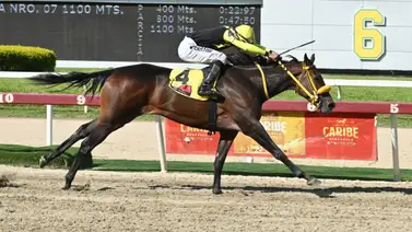 Entérate de lo que reveló el ajuste de la gran opción de Gaceta Hípica para el 5y6 dominical Entérate de lo que reveló el ajuste de la gran opción de Gaceta Hípica para el 5y6 dominical