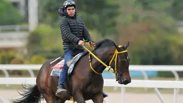 Entra aquí para que te enteres del chance de los siete compromisos de Yamper González en La Rinconada (+Video) Entra aquí para que te enteres del chance de los siete compromisos de Yamper González en La Rinconada (+Video)
