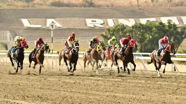 Aquí lo observamos en plena carrera en el óvalo caraqueño. Aquí lo observamos en plena carrera en el óvalo caraqueño.