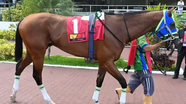 Descubre el ajuste de Marco Antonio que buscará defender su invicto en la R13 de La Rinconada Descubre el ajuste de Marco Antonio que buscará defender su invicto en la R13 de La Rinconada