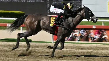 Mira cómo quedó el ajuste de esta yegua importada antes de su participación en el Clásico Peggy Azqueta Mira cómo quedó el ajuste de esta yegua importada antes de su participación en el Clásico Peggy Azqueta