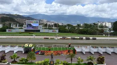 El mejor trabajo de lo que va de semana lo tiene este ejemplar que participa en la primera selectiva de la R13 El mejor trabajo de lo que va de semana lo tiene este ejemplar que participa en la primera selectiva de la R13