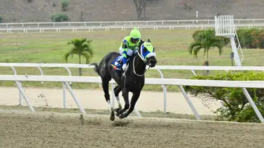 Este potro trabajó fenomenal para hacer suyo el Clásico “Juan Vicente Tovar” (G3) en La Rinconada Este potro trabajó fenomenal para hacer suyo el Clásico “Juan Vicente Tovar” (G3) en La Rinconada