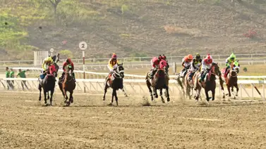 Alerta: Este ejemplar sobresale en video y tiene el potencial de sorprender con un gran dividendo en la R13 Alerta: Este ejemplar sobresale en video y tiene el potencial de sorprender con un gran dividendo en la R13