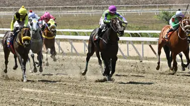 Así como ajustó este ejemplar tiene para vencer a los favoritos de la prueba selectiva del 5y6 dominical Así como ajustó este ejemplar tiene para vencer a los favoritos de la prueba selectiva del 5y6 dominical