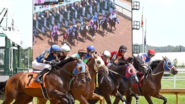 Tres jockeys venezolanos irán por los cuatro Stakes del sábado en Laurel Park