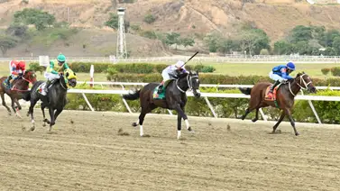 No te pierdas de esta yegua que logró el mejor remate del jueves en La Rinconada No te pierdas de esta yegua que logró el mejor remate del jueves en La Rinconada