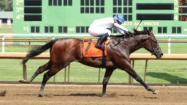 Este potro no correrá en el Kentucky Derby y participará en el Pat Day Mile