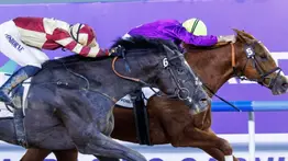 Este tresañero japonés tampoco será parte del Kentucky Derby y podría correr otro Stakes