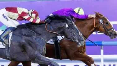 Este tresañero japonés tampoco será parte del Kentucky Derby y podría correr otro Stakes Este tresañero japonés tampoco será parte del Kentucky Derby y podría correr otro Stakes