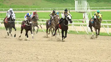 Aficionados hípicos estos son los caballos con mayor potencial a esta hora en La Rinconada Aficionados hípicos estos son los caballos con mayor potencial a esta hora en La Rinconada