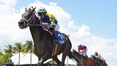 Leonel Reyes Ramos lleva dos este viernes el Gulfstream Park