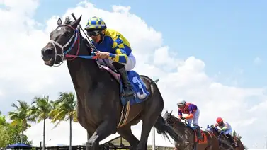 Leonel Reyes Ramos lleva dos este viernes el Gulfstream Park Leonel Reyes Ramos lleva dos este viernes el Gulfstream Park