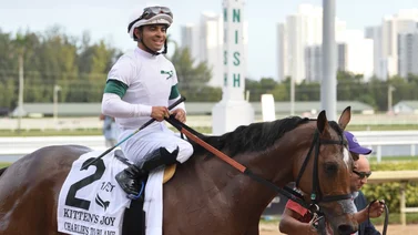 Luis Sáez regresa de su caída del martes para ganar y llegar a 3,700 victorias en Estados Unidos